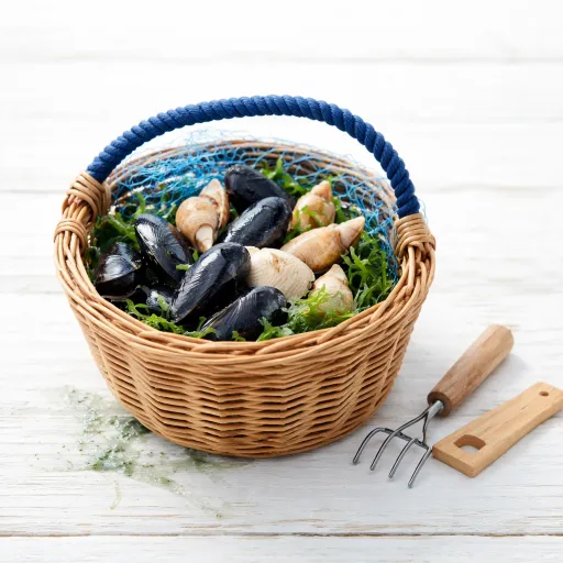 Pêche à pied sur la côte du Cotentin : guide pratique pour bien commencer