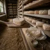 Le Neufchâtel, fromage en forme de coeur : chez les affineurs du pays de Bray